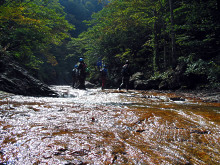 090926osawa7_2 090926osawa7_2