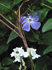 060504tn