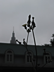060603km