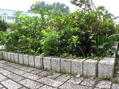 060623lg
