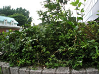 060708l2