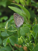060807ch